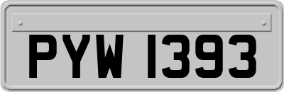 PYW1393