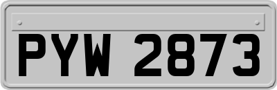 PYW2873