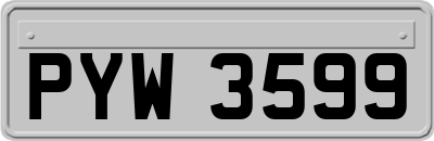 PYW3599