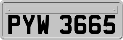 PYW3665