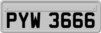 PYW3666