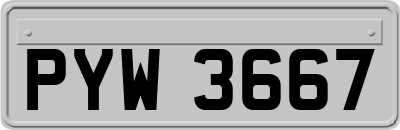 PYW3667