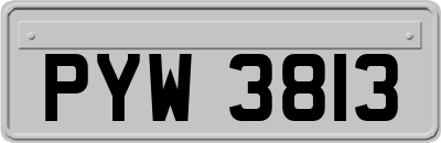 PYW3813