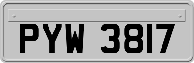 PYW3817