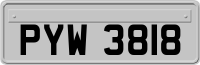 PYW3818