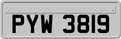 PYW3819