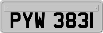 PYW3831