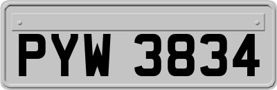 PYW3834