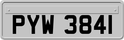 PYW3841