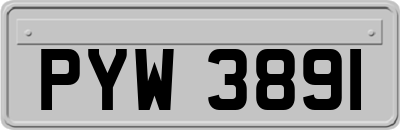 PYW3891