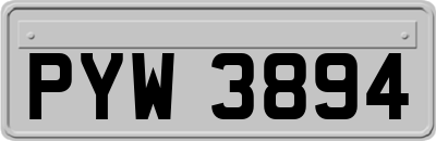 PYW3894