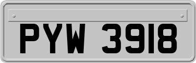 PYW3918