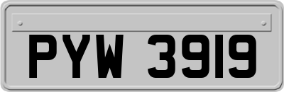 PYW3919