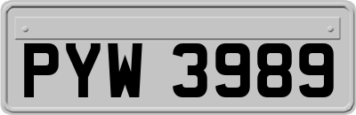 PYW3989