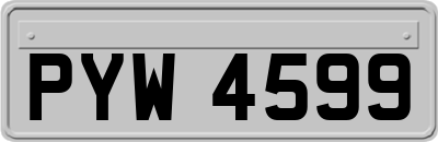 PYW4599