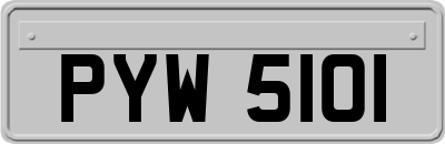 PYW5101