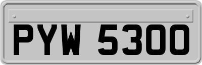 PYW5300