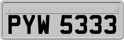 PYW5333