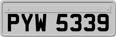 PYW5339