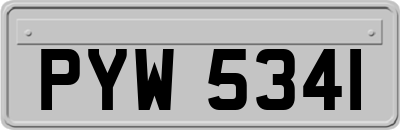 PYW5341