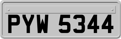 PYW5344