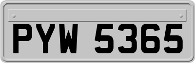 PYW5365