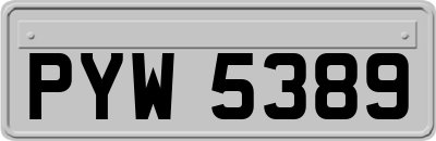 PYW5389