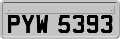 PYW5393