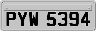 PYW5394