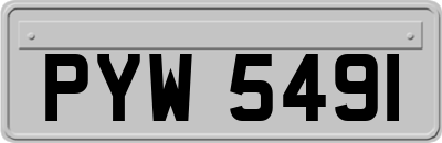 PYW5491