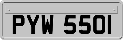 PYW5501