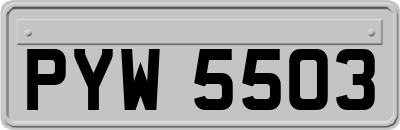 PYW5503