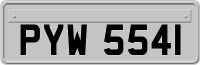 PYW5541