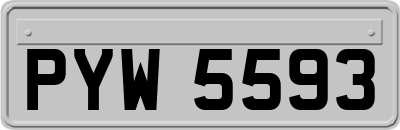 PYW5593