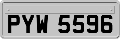 PYW5596