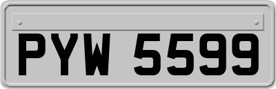 PYW5599