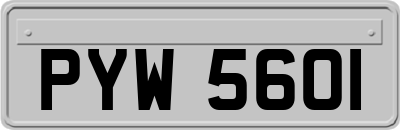 PYW5601