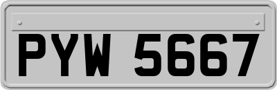 PYW5667