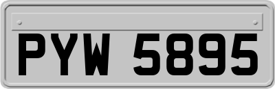 PYW5895