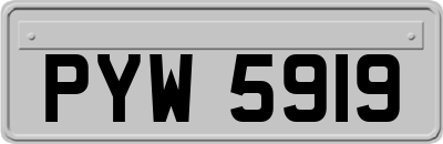 PYW5919