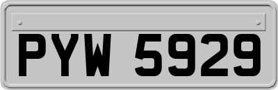 PYW5929