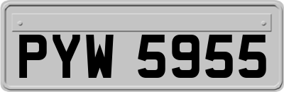 PYW5955