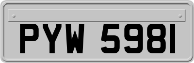 PYW5981