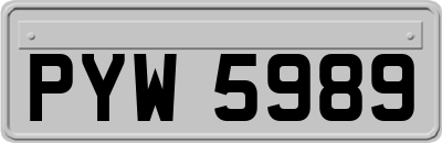 PYW5989