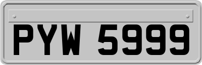 PYW5999