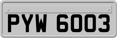 PYW6003