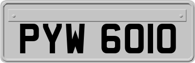 PYW6010