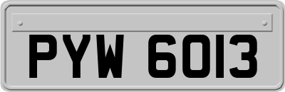 PYW6013
