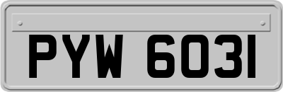 PYW6031
