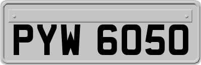 PYW6050